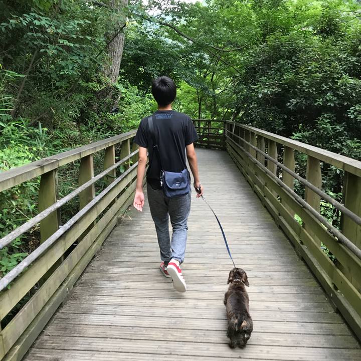 7311ab1b 2047 40f0 8b09 3f69d6aafd9f