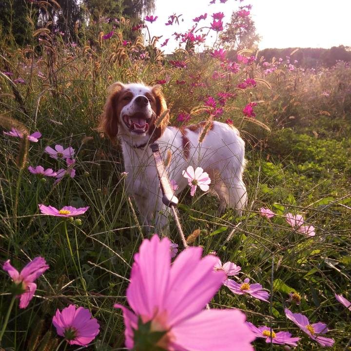 7311cea3 8584 444c bc90 94c975121e40