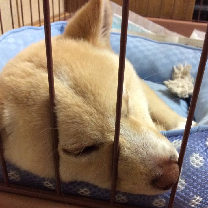 731365a1 8eef 4b82 a058 1aa2a570cfbb