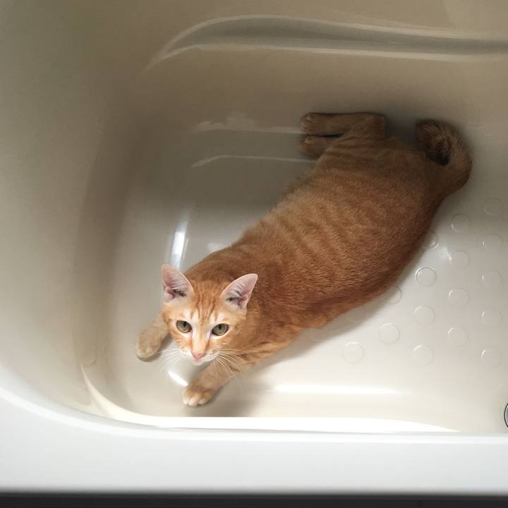 73144753 22fc 4610 955b 110cd4f586a8