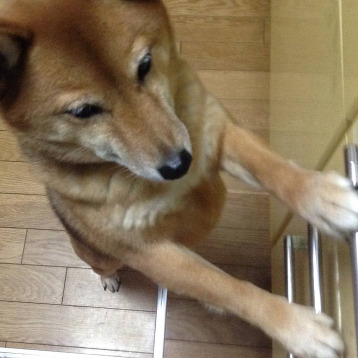 73145831 4d9a 4438 87a8 b9a346b7bc84