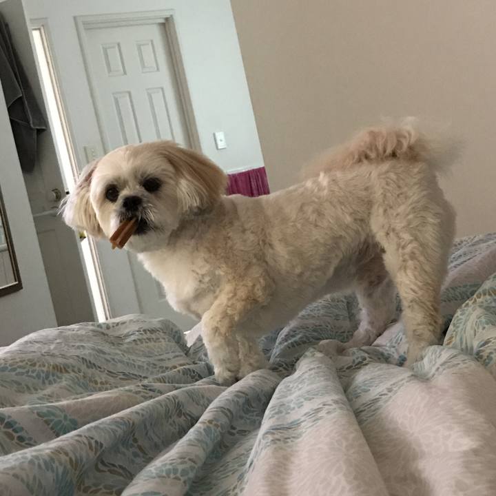 7314c816 9ba4 46a3 83fd b66bd3e3bf54