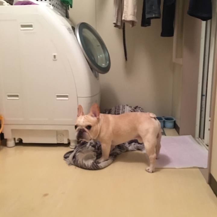 7314feb4 5a28 4ef9 b4fc fea72b064a34