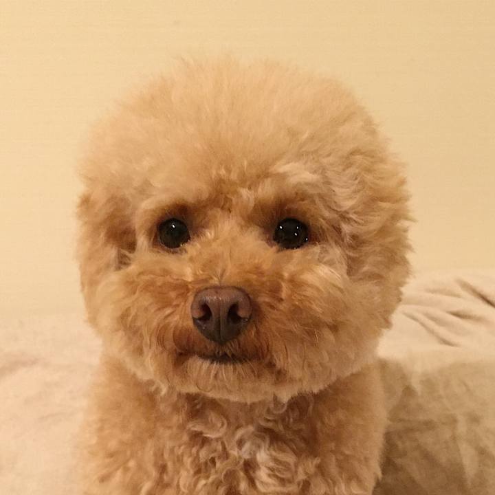 73151378 90d4 4a16 a73a be9d3825fcc1