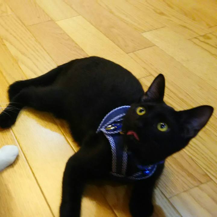 7315d8d6 c19b 4f89 9e33 9c476eb1e374