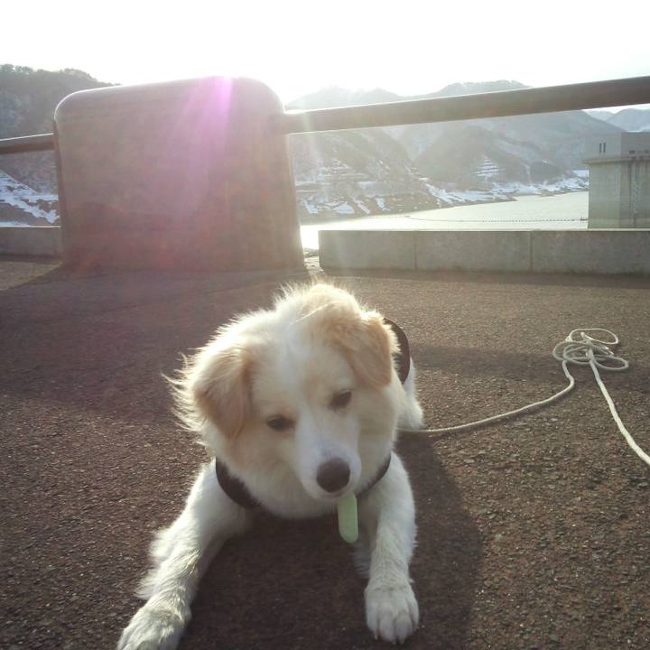 731692cb 3d8b 4154 8129 f1cba9f87a6d