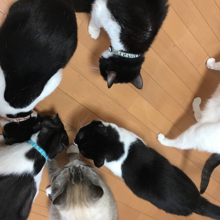 73169633 2cfe 4bec 9e27 5701ddd52bb7