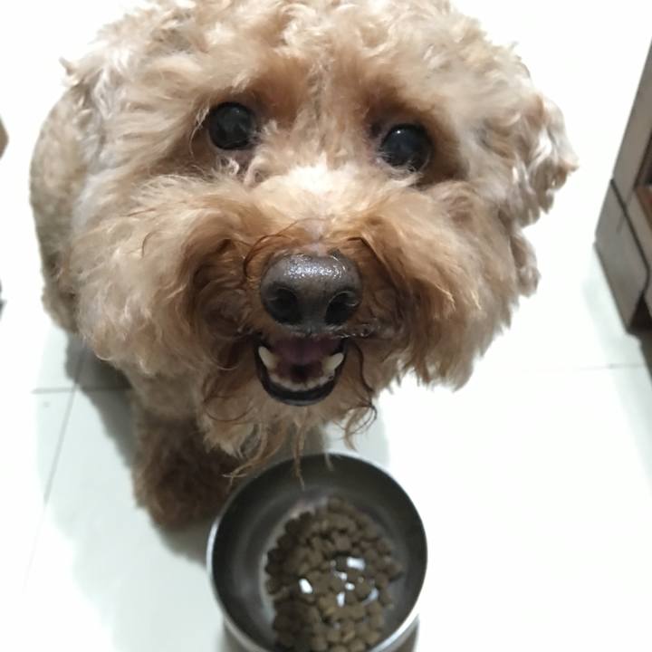 7316e9a0 4d9e 4bd2 a4ab 9f98220aa56c