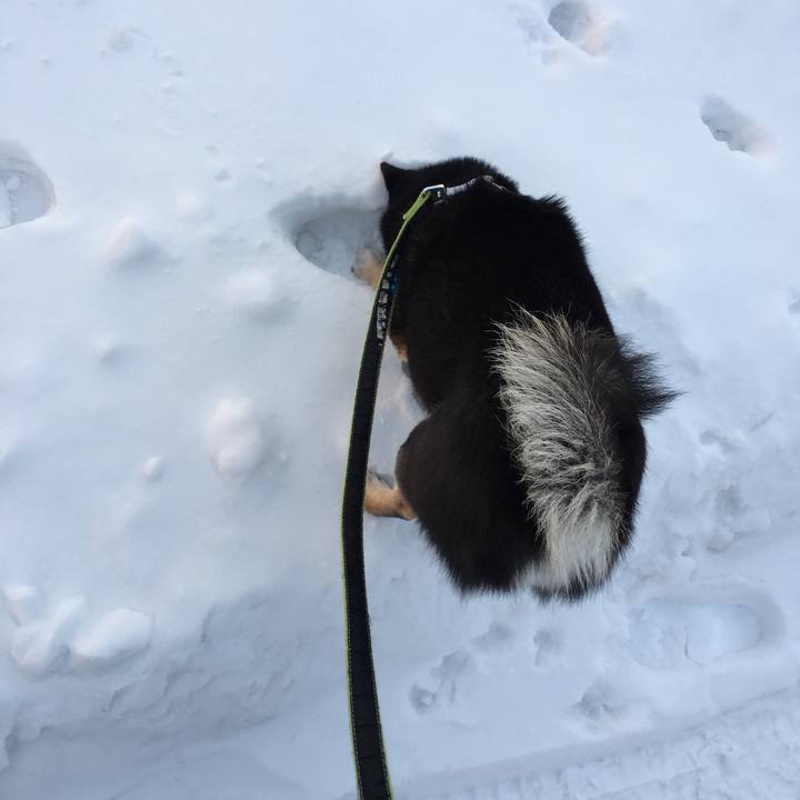 7316ff96 8b0e 47a1 8b1e 08124db6df2f