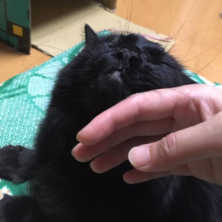 731702d1 1591 463f b37c 099e08691c7a