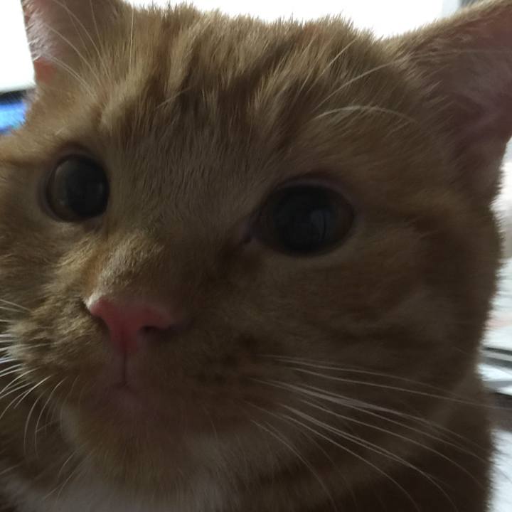 73175640 443c 4498 a654 451d5050efc5