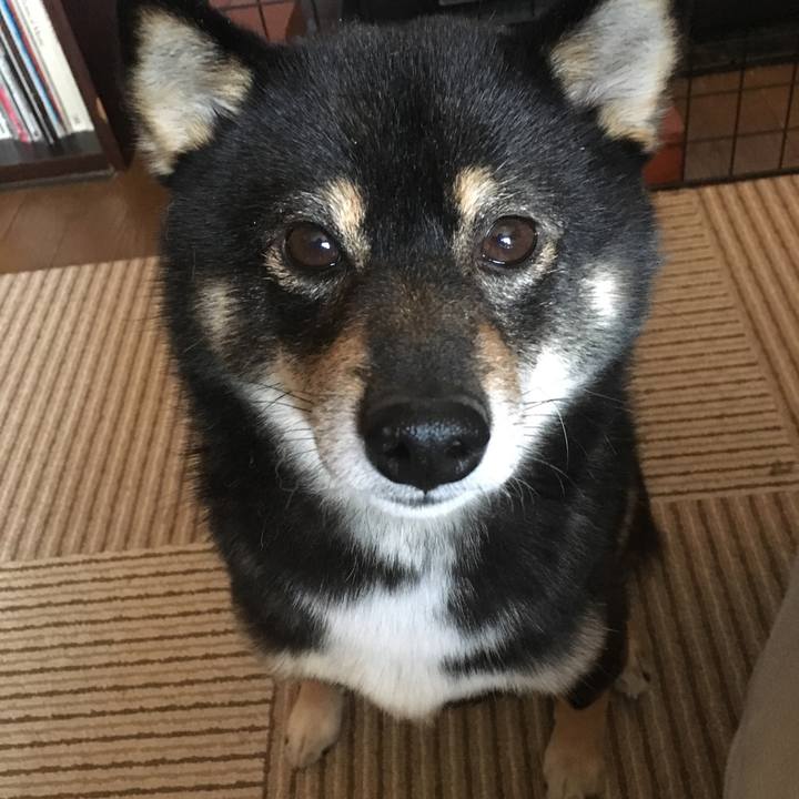 7317ce9a 8a3e 42de 8cf4 80ab3cbf2cb6