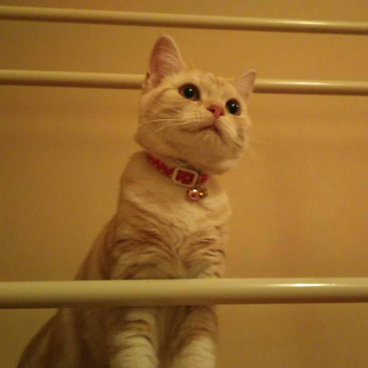 73180052 ec41 4319 a591 d3f8920c4fb5