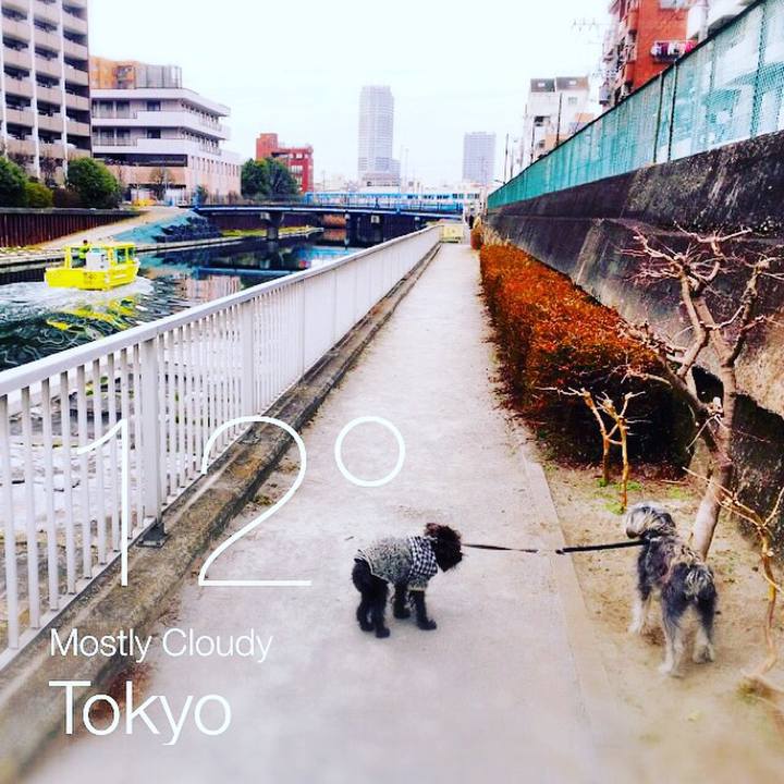 731887b4 18c5 403c bdb8 7016949ce76b