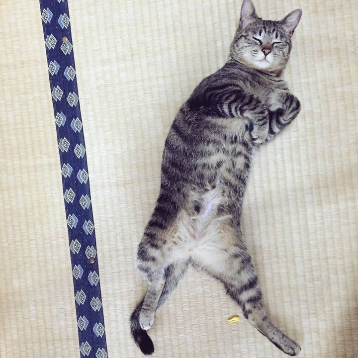 73189204 8d17 48a0 9013 e67a0fe89f92