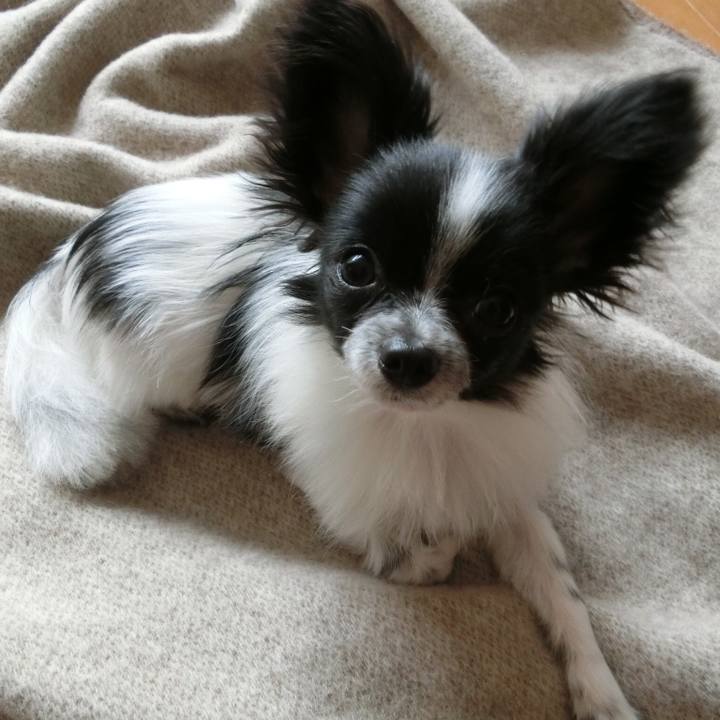 7318b427 6c73 4a1b 8973 053cdca7c757