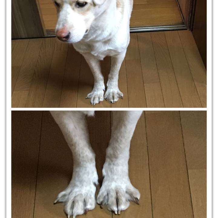 73191b01 055c 4fcd afd9 813ca1f0805f