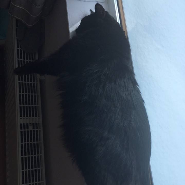 73192542 e3a4 49b7 b31c 65f94f53845c