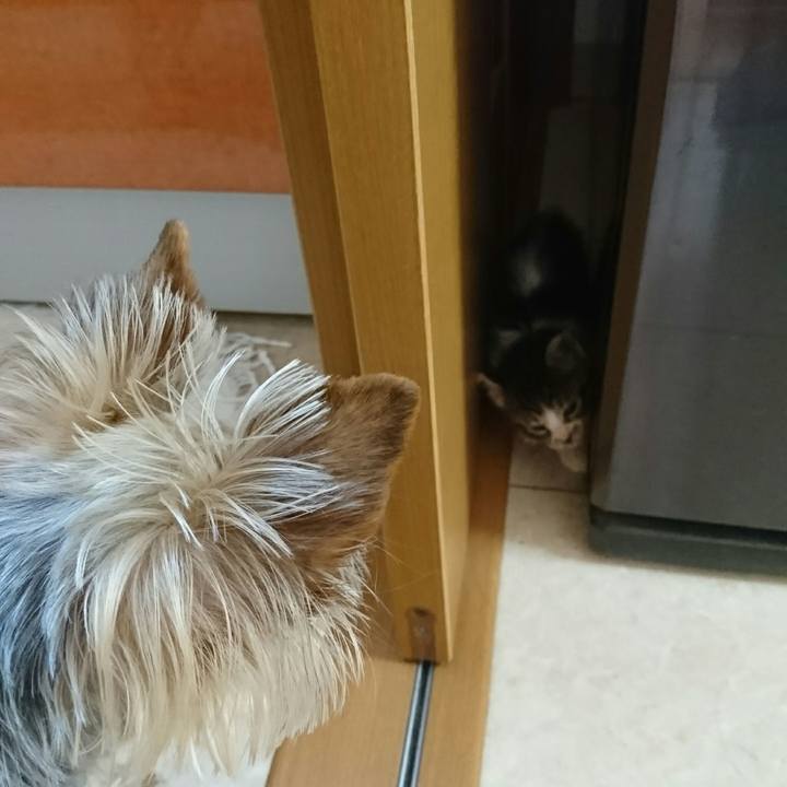 7319913c e5ad 4e58 8ba3 54802939ac8e