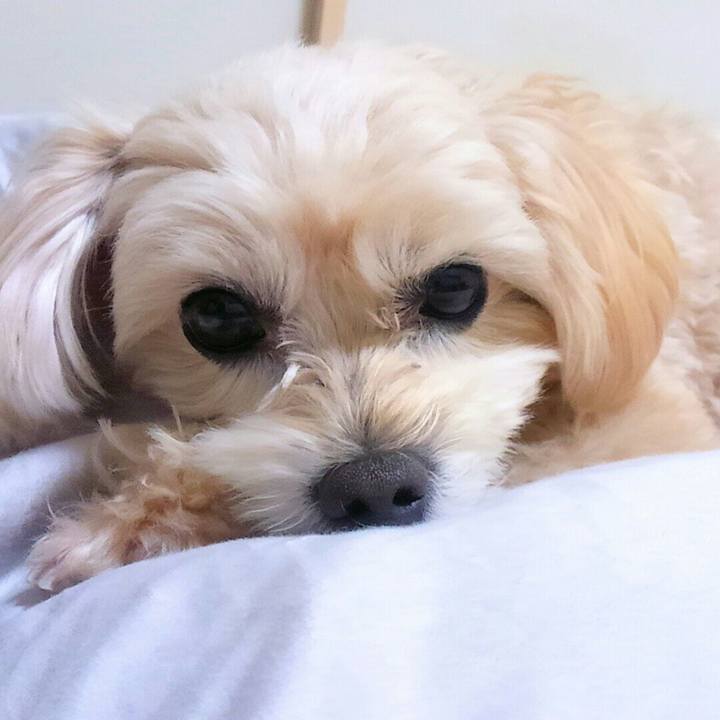 731b2cc6 abf4 4414 bdbb cdc4bd32fae6