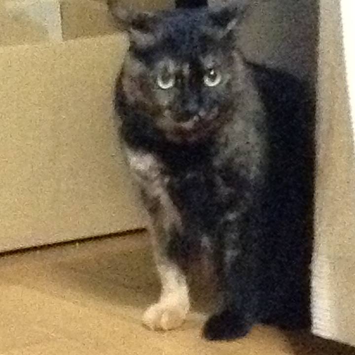 731b3d58 0fd1 4b82 a63e 04af1cf6924d