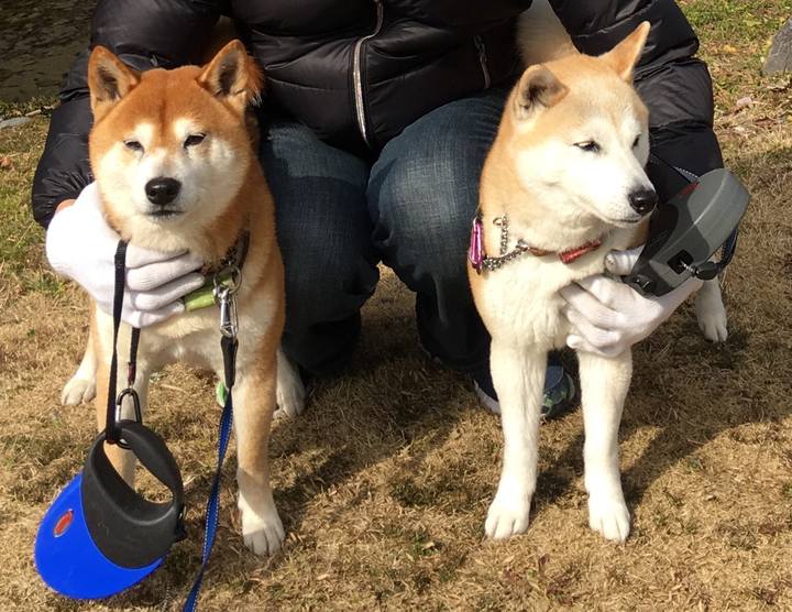 731bf5be 393a 4b12 9e45 6015eda7f0ae