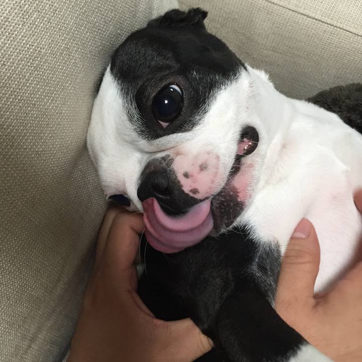 731c23fb d4cf 495b 8e98 43cc98bac3b4