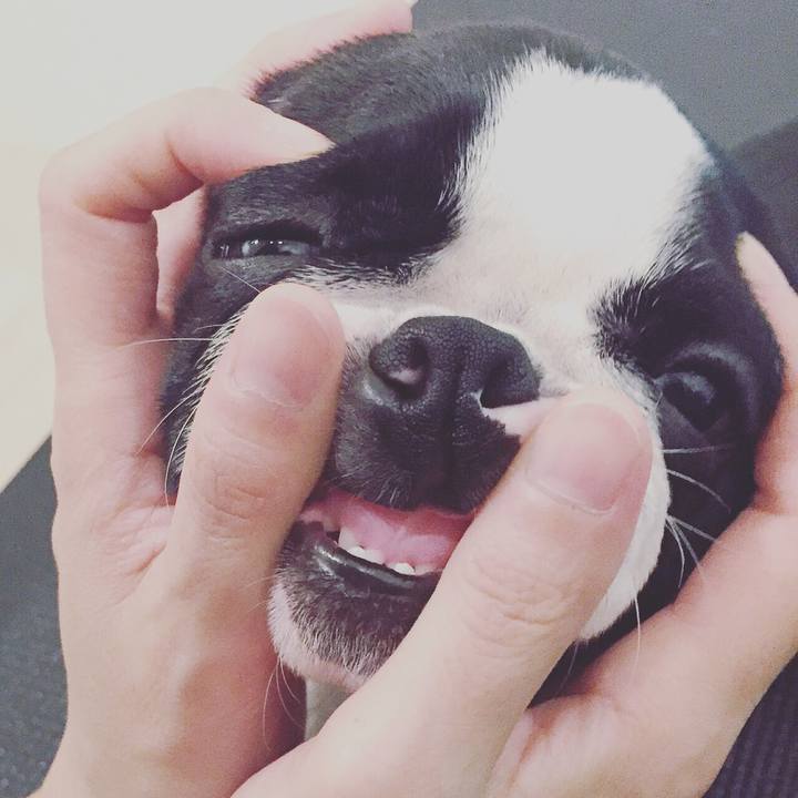 731c5533 63fb 477e b6e2 d5209dee7846