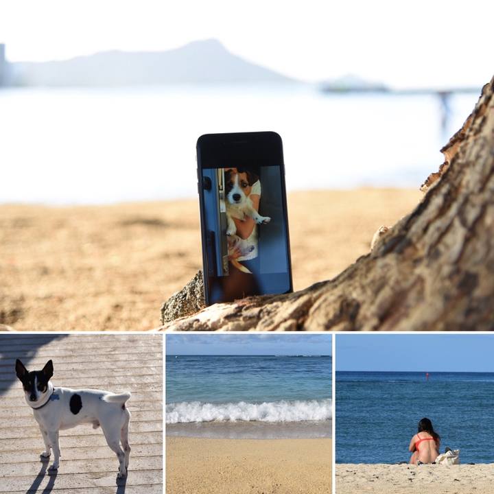 731cff48 e4f6 4be7 ac74 70733c6bc375