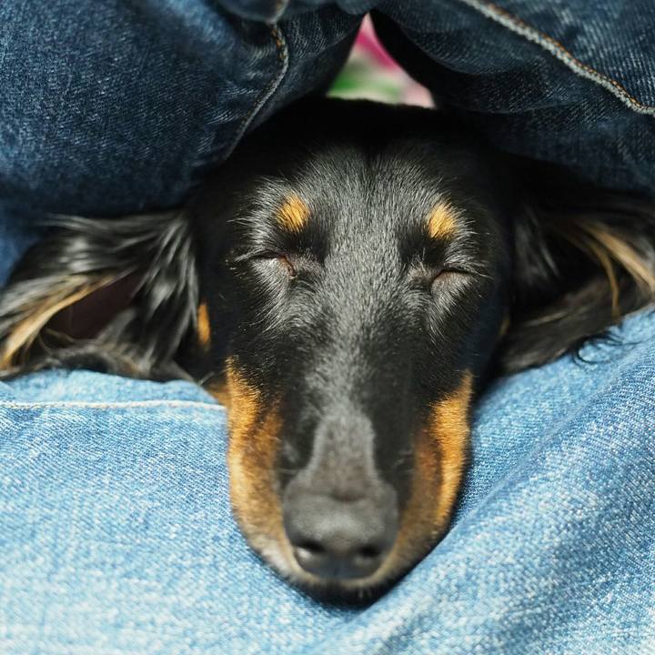 731d6513 ea83 438f a311 59d6863ab05a