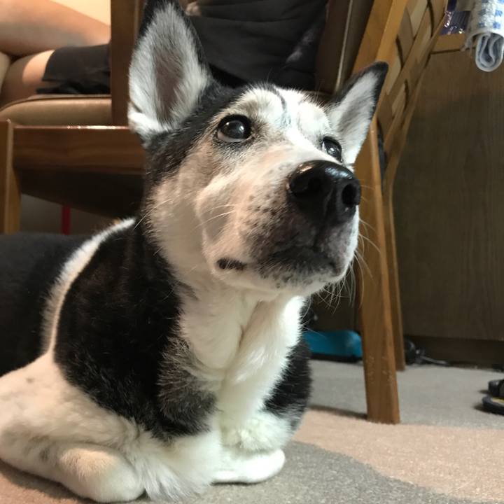 731da33d bf88 4fb1 9da0 b48c3a6b3f8f