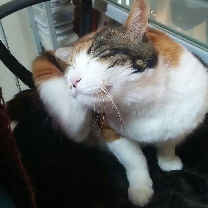 731df529 1ca6 484e 8956 60bc80d5b050