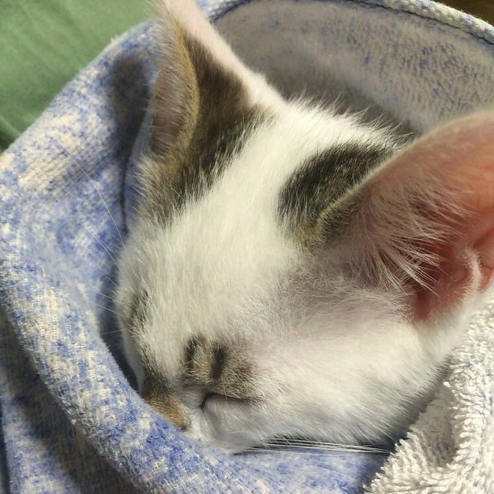 731e1bcc eb97 4dba 8887 a863c993c994