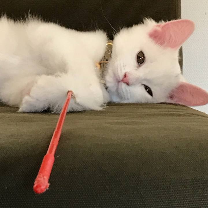 731e2041 e1c3 40c3 b7b7 a6f64077d656