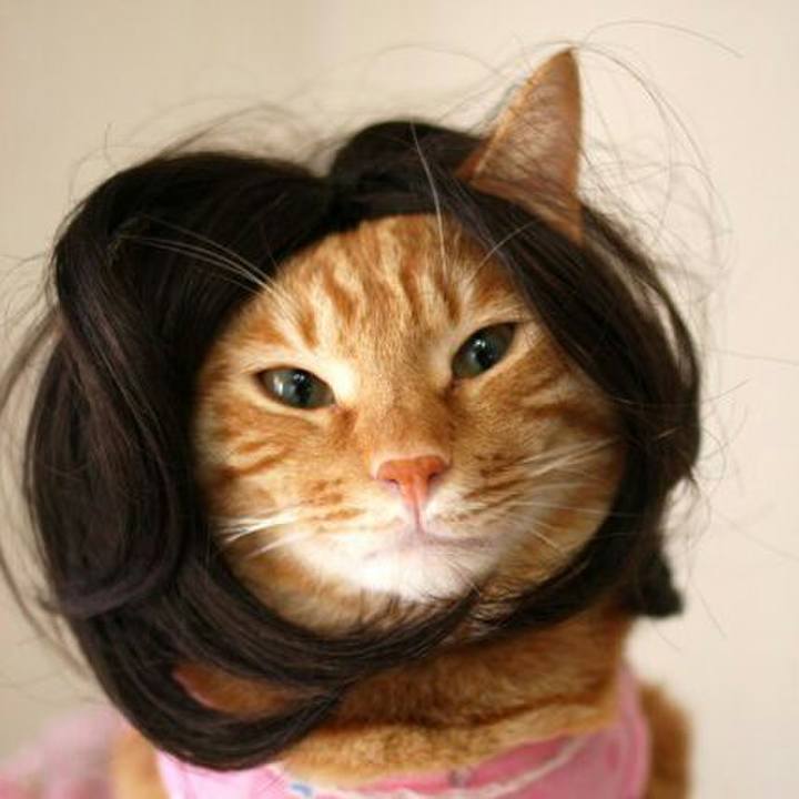 731eff78 9258 4223 8898 ecdad42a14c4