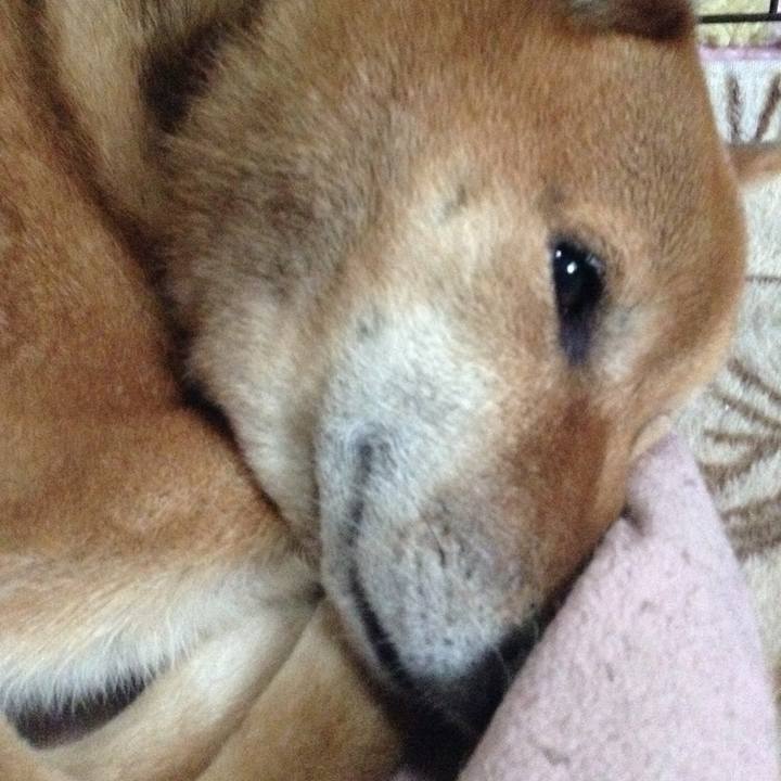 731fd073 34e4 49f1 a527 5ea4ab884ab1