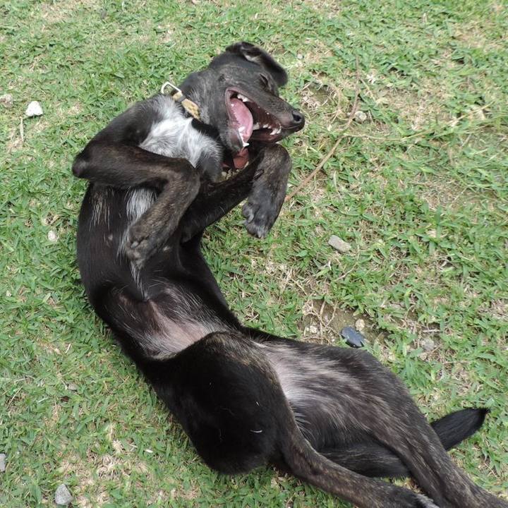 732025a1 2288 43d9 925b ffeab5e151d4