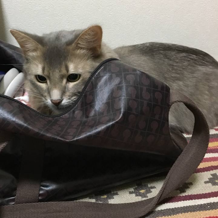 732059b7 c15a 4afe b6e0 3048128bc4f9