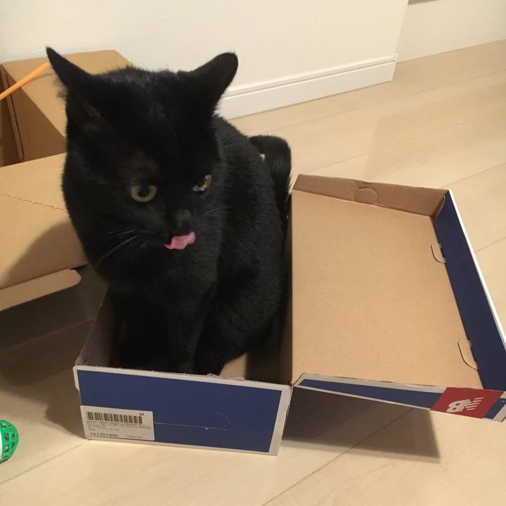 7320abf5 3ffb 4f30 9d21 7aad376baaab