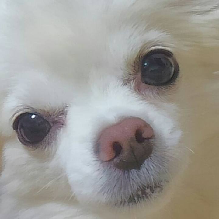 732116ef 3e4f 47e7 93c0 7b6c9f172de4