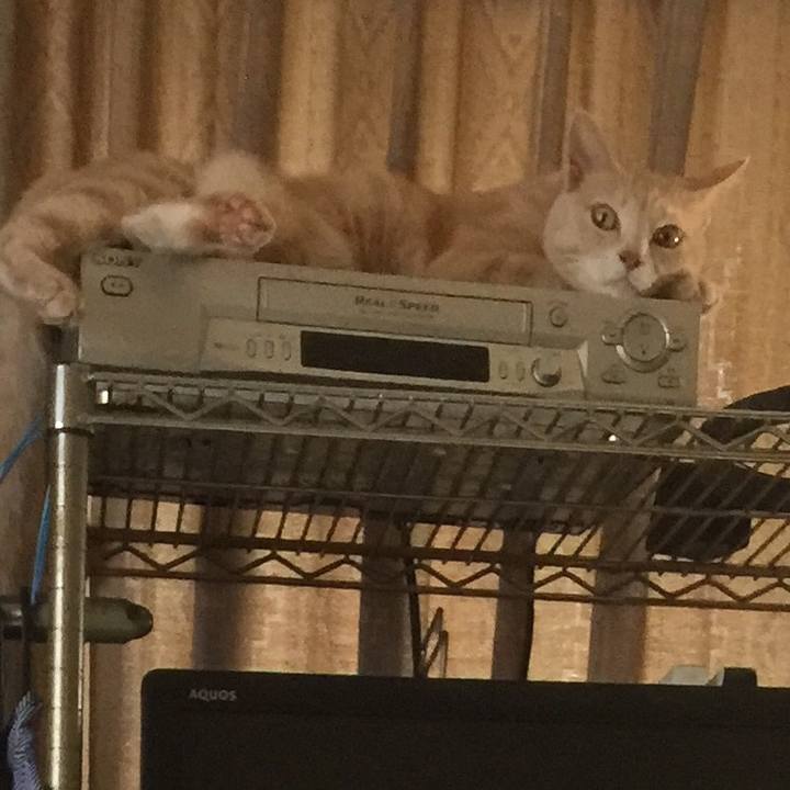 73212745 bfdc 498b afcc e546da6cc81a