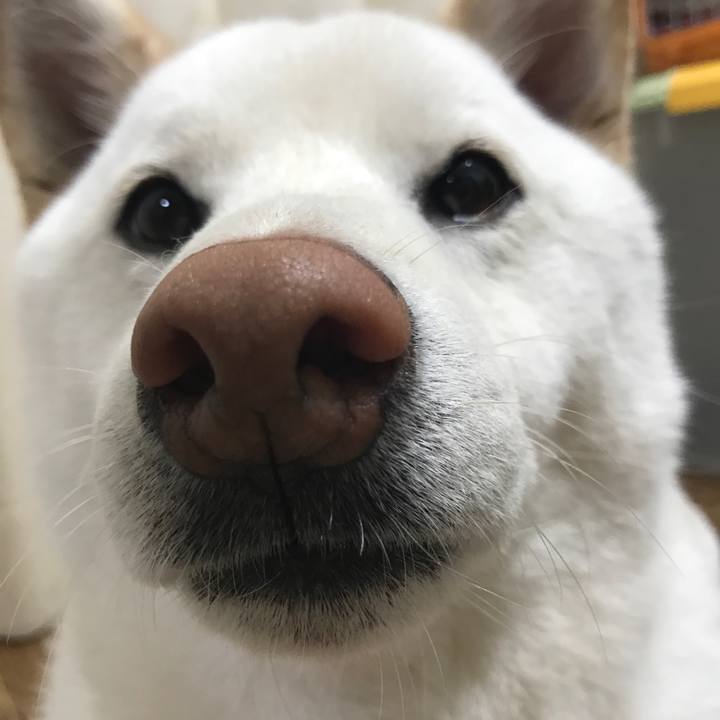 73215544 7a66 47a2 ba23 b7673bbd60f3