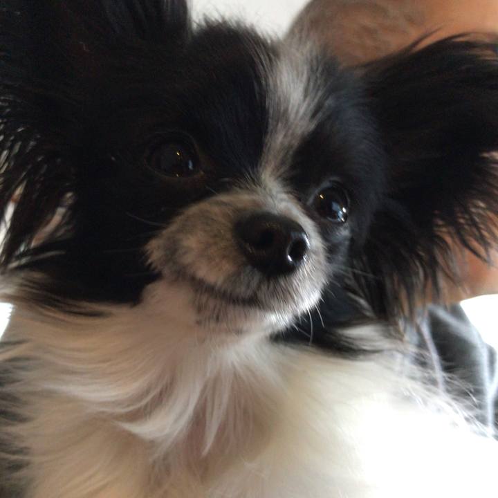 7321f6f6 4751 4bb2 afca 1a8b9677ae8d