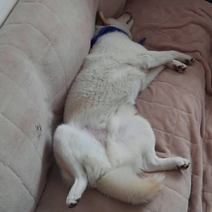 732200b1 5859 432e a947 993cfbd4bb2c