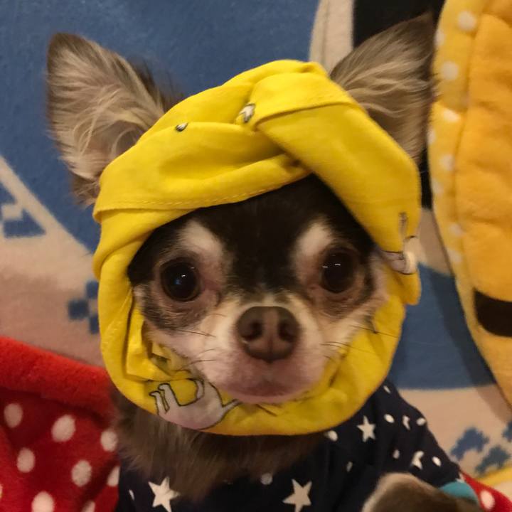 7322cea2 6636 4759 a7a6 c9ad22c2092f