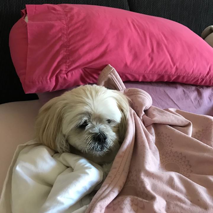 7323cd23 094d 4b67 b53e f9ff594643dd