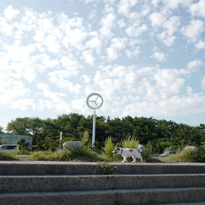 7323e68a 6978 46b4 a2ce 77dba2399ef4