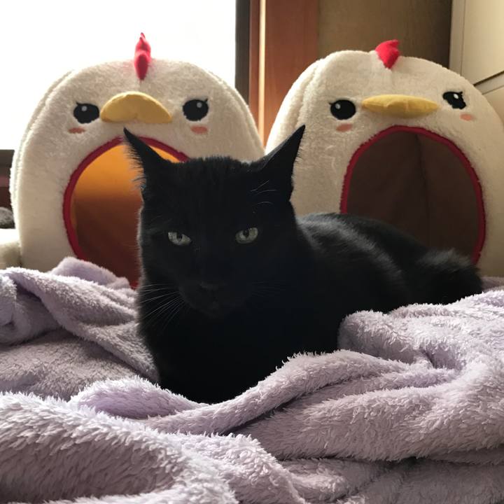 7324693b 501c 45e1 bd23 f81d02994574