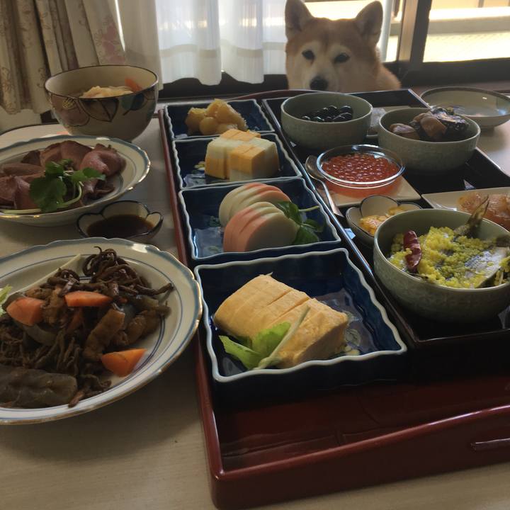 73249dbd 4310 46ea ad4b c1503bd17e12