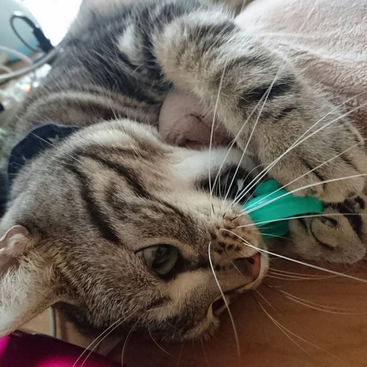 7324f0de 8934 4dcf a597 cc1d0f16b1e3